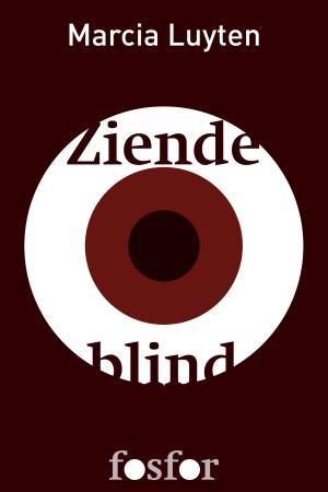 Cover of the book Ziende blind by Henk van Straten