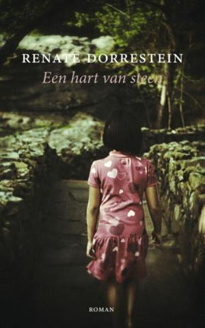 Cover of the book Een hart van steen by Sue Prideaux
