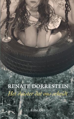 Cover of the book Het duister dat ons scheidt by Maarten 't Hart