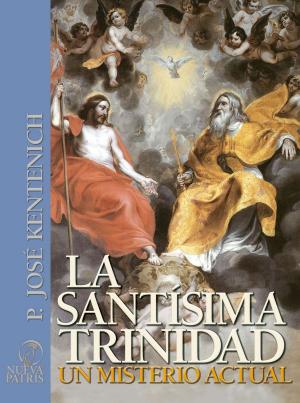Cover of the book La Santísima Trinidad un Misterio Actual by Lorenzo Cintolesi Galmez