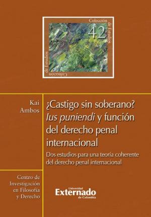 Book cover of ¿Castigo sin soberano? Lus puniendi y función del derecho penal internacional. Dos estudios para una teoría coherente del derecho penal internacional