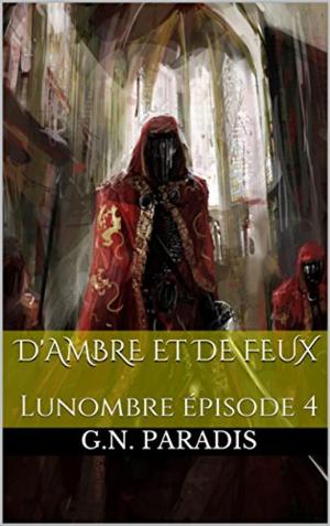 Book cover of D'Ambre et de Feux