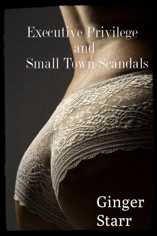 Cover of the book Executive Privilege and Small Town Scandals by Ginger Starr, Ginger Starr Publishing
