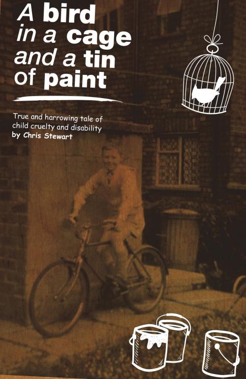 Cover of the book A Bird in a Cage and a Tin of Paint by Chris Stewart, McQueen Publishing