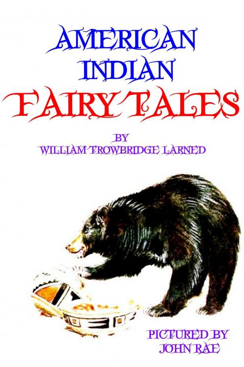 Cover of the book American Indian Fairy Tales by William Trowbridge Larned, AMN Publishing