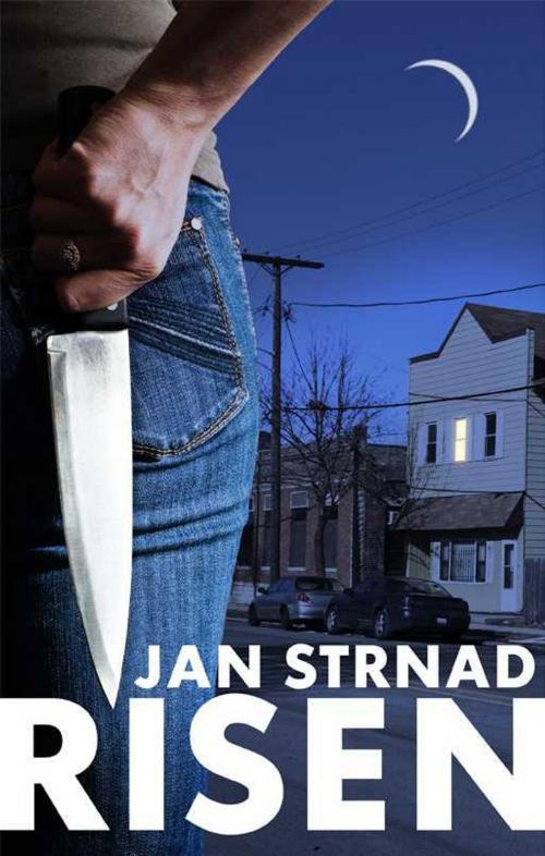 Cover of the book Risen by Jan Strnad, Jan Strnad