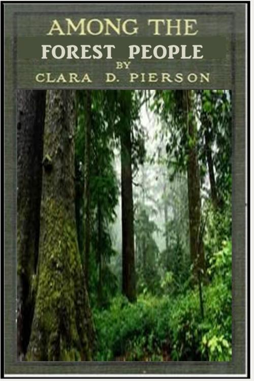 Cover of the book Among the Forest People by Clara Dillingham Pierson, Classic Young Readers
