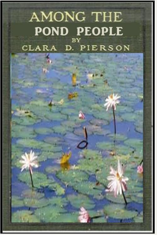 Cover of the book Among the Pond People by Clara Dillingham Pierson, Classic Young Readers