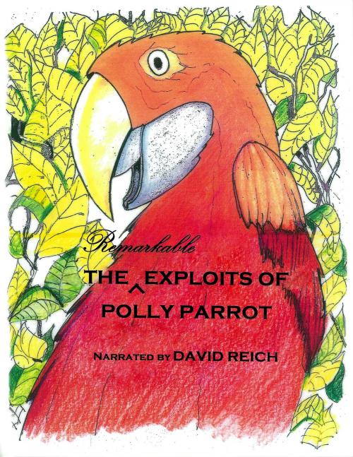 Cover of the book THE REMARKABLE EXPLOITS OF POLLY PARROT by David Reich, Publications Edutech