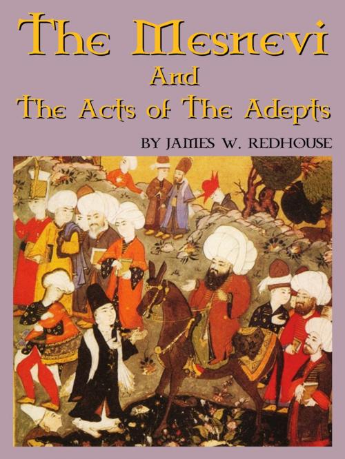Cover of the book The Mesnevi And The Acts Of The Adepts by James W. Redhouse, AppsPublisher