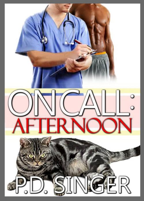 Cover of the book On Call: Afternoon by P.D. Singer, Rocky Ridge Books