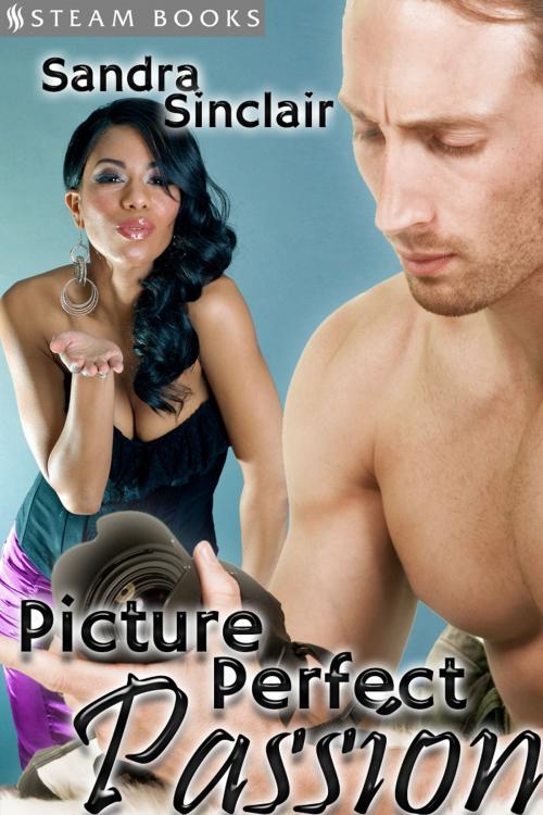 Cover of the book Picture Perfect Passion by Sandra Sinclair, Steam Books, Steam Books