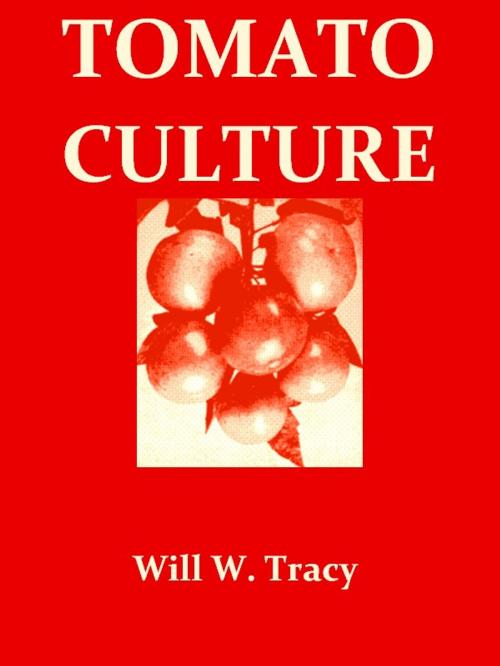 Cover of the book Tomato Culture [Illustrated] by Will W. Tracy, VolumesOfValue