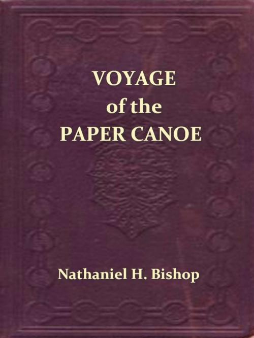 Cover of the book Voyage of the Paper Canoe by Nathaniel H. Bishop, VolumesOfValue