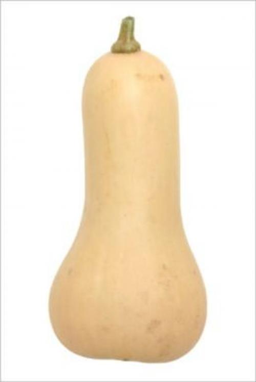 Cover of the book How to Grow Butternut Squash by Tobin Frost, Axel Publishing