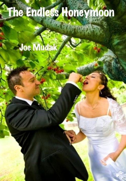 Cover of the book The Endless Honeymoon by Joe Mudak, Joe Mudak