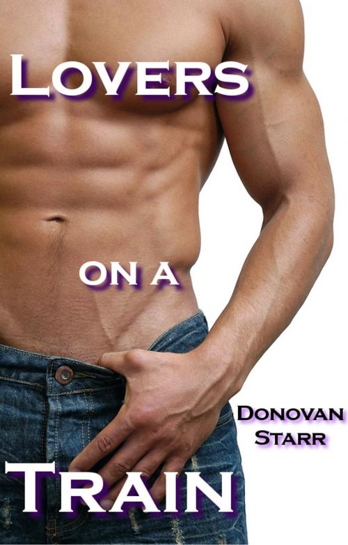 Cover of the book Lovers on a Train by Donovan Starr, Seductive Dreams Press