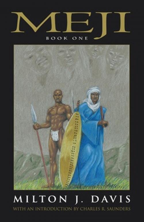 Cover of the book Meji Book One by Milton Davis, MVmedia, LLC