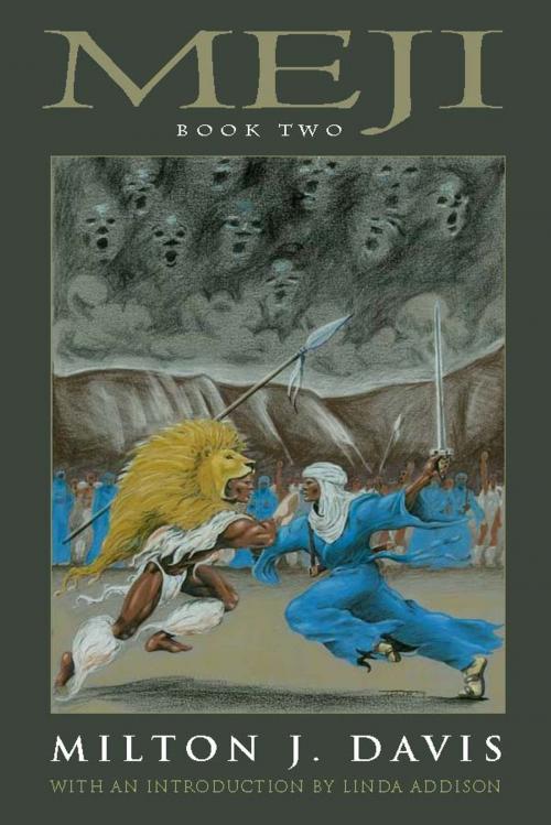 Cover of the book Meji Book Two by Milton Davis, MVmedia, LLC