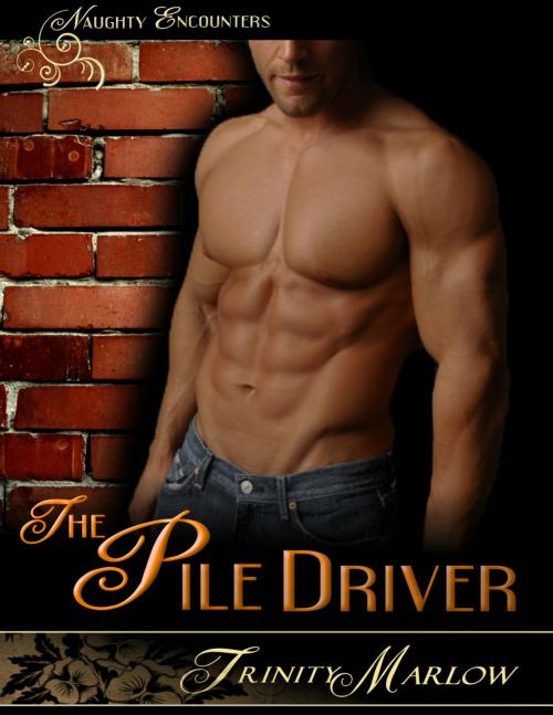 Cover of the book The Pile Driver by Trinity Marlow, Brazen Snake Books