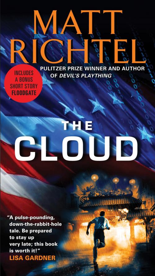 Cover of the book The Cloud by Matt Richtel, Harper