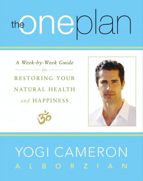 Cover of the book The One Plan by Yogi Cameron Alborzian, HarperOne