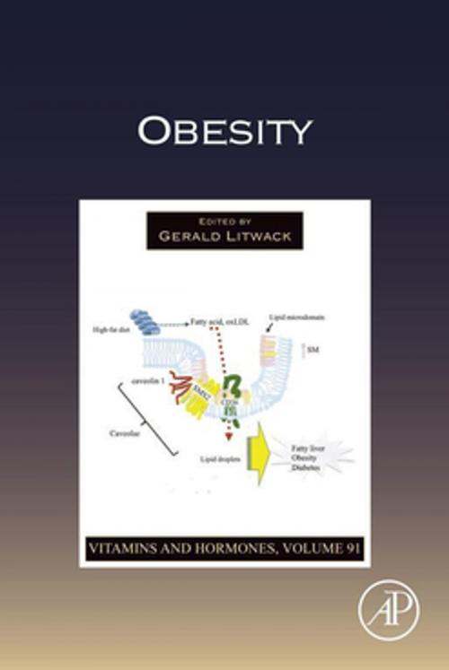 Cover of the book Obesity by Gerald Litwack, Elsevier Science