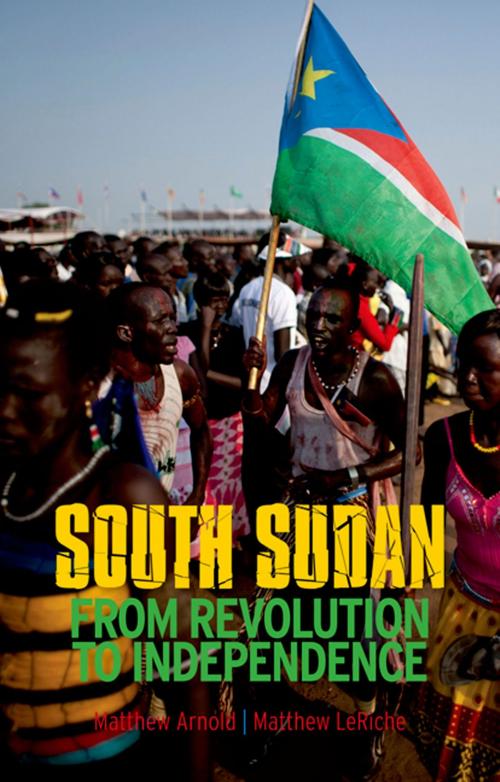 Cover of the book South Sudan by Matthew Arnold, Matthew LeRiche, Oxford University Press