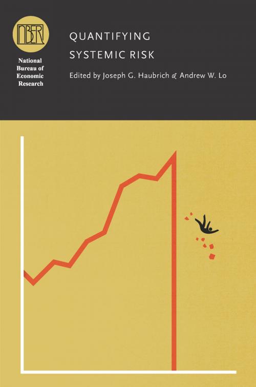 Cover of the book Quantifying Systemic Risk by , University of Chicago Press