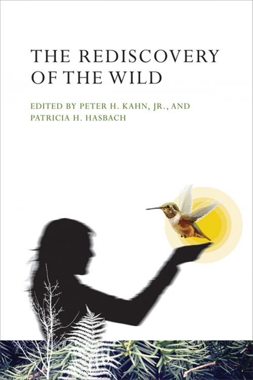 Cover of the book The Rediscovery of the Wild by Cristina Eisenberg, Jack Turner, Elizabeth Marshall Thomas, Bridget Stutchbury, Gail Melson, G. A. Bradshaw, Ian McCallum, E. N. Anderson, Dave Foreman, Peter H. Kahn Jr., Patricia H. Hasbach, The MIT Press