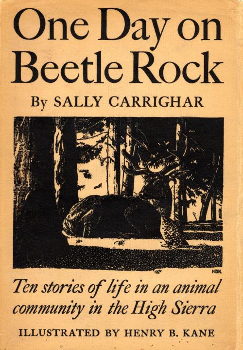 Cover of the book One Day On Beetle Rock by Sally Carrighar, Knopf Doubleday Publishing Group