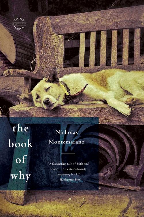 Cover of the book The Book of Why by Nicholas Montemarano, Little, Brown and Company