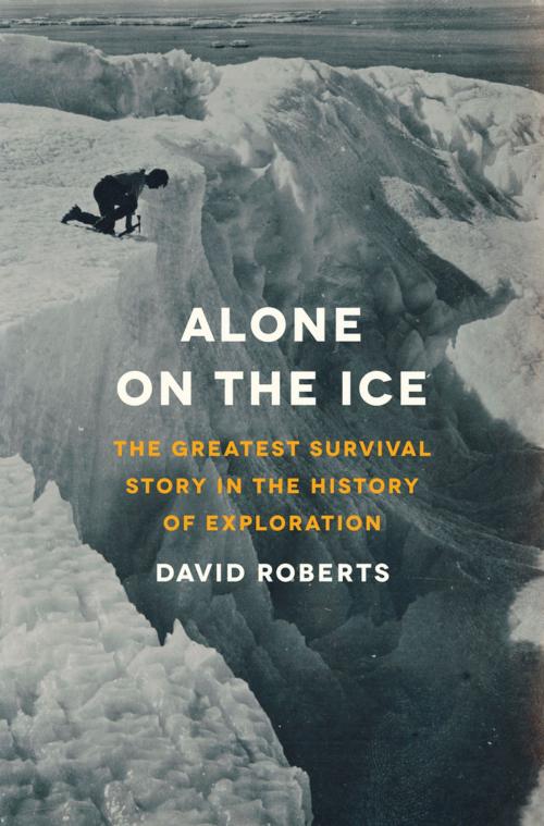 Cover of the book Alone on the Ice: The Greatest Survival Story in the History of Exploration by David Roberts, W. W. Norton & Company