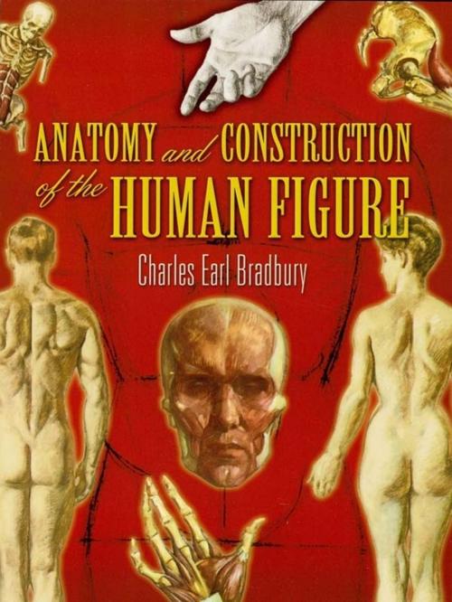 Cover of the book Anatomy and Construction of the Human Figure by Charles Earl Bradbury, Dover Publications