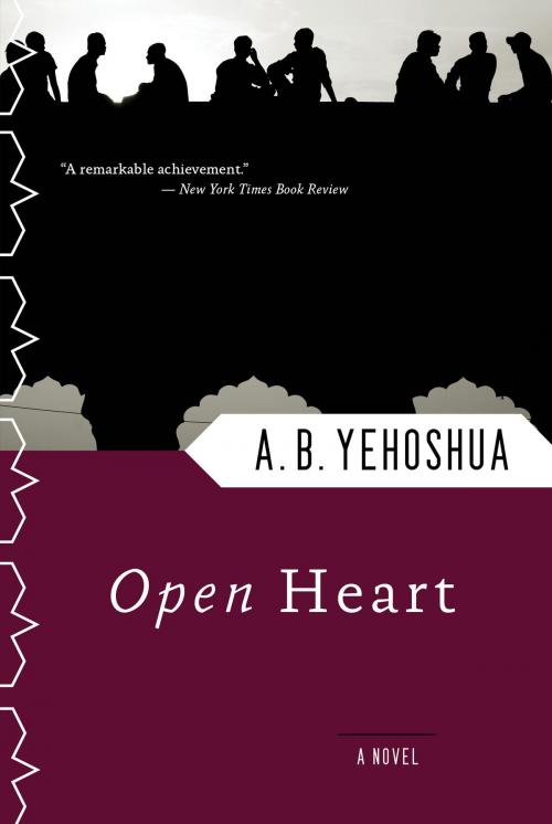 Cover of the book Open Heart by A. B. Yehoshua, HMH Books
