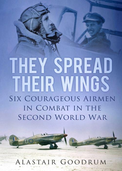 Cover of the book They Spread Their Wings by Alastair Goodrum, The History Press