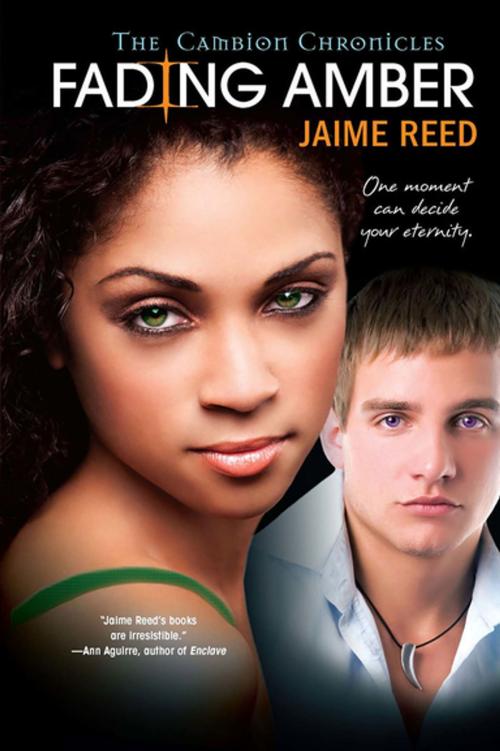 Cover of the book Fading Amber by Jaime Reed, Kensington Books