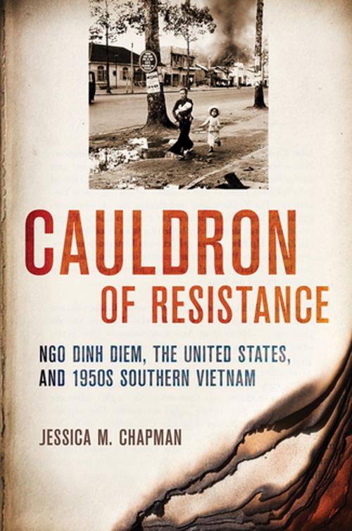 Cover of the book Cauldron of Resistance by Jessica M. Chapman, Cornell University Press