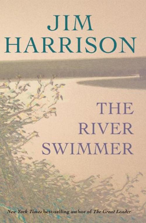 Cover of the book The River Swimmer by Jim Harrison, Grove Atlantic