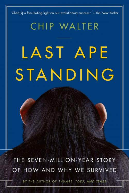 Cover of the book Last Ape Standing by Chip Walter, Bloomsbury Publishing