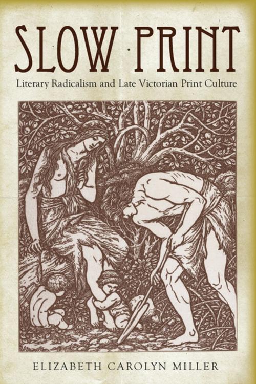 Cover of the book Slow Print by Elizabeth Carolyn Miller, Stanford University Press