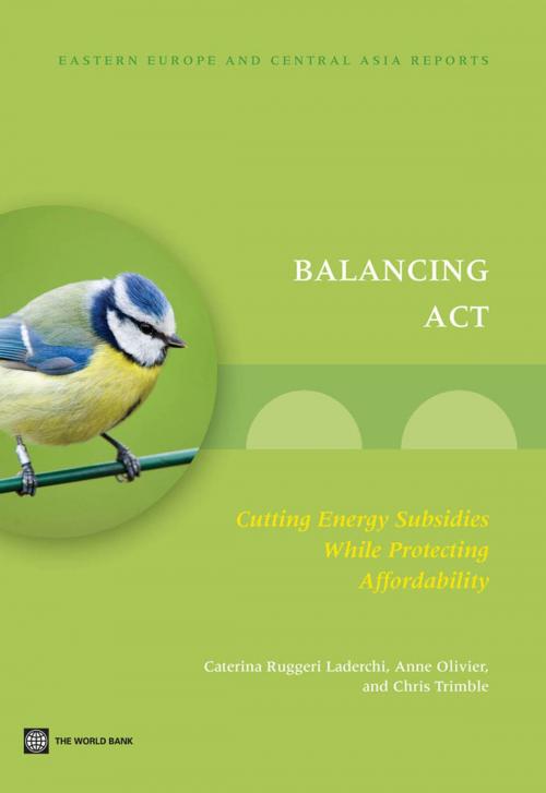 Cover of the book Balancing Act by Caterina Ruggeri Laderchi, Anne Olivier, Chris Trimble, World Bank Publications
