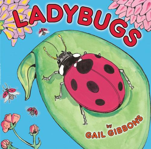 Cover of the book Ladybugs by Gail Gibbons, Holiday House