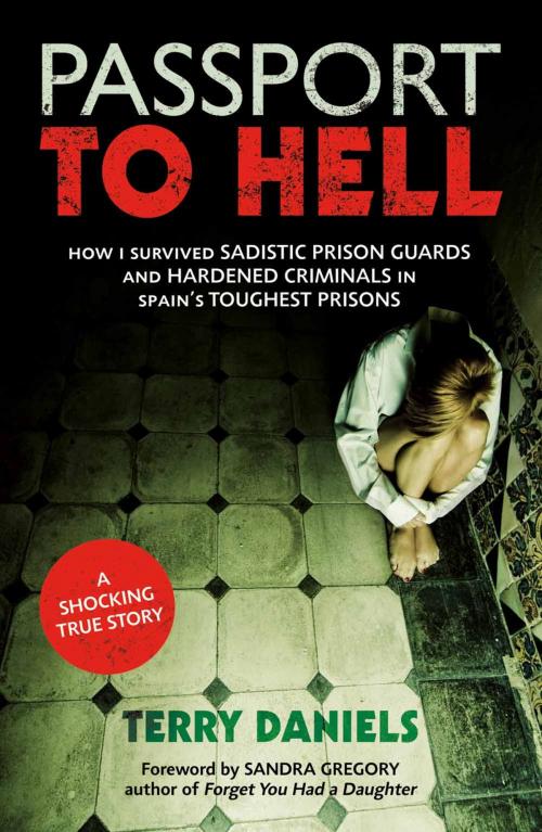 Cover of the book Passport to Hell: How I Survived Sadistic Prison Guards and Hardened Criminals in Spain's Toughest Prisons by Terry Daniels, Summersdale Publishers Ltd