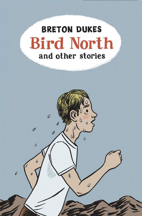 Cover of the book Bird North and Other Stories by Breton Dukes, Victoria University Press