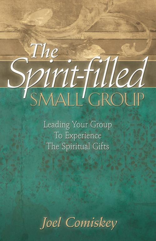 Cover of the book The Spirit-filled Small Group by Joel Comiskey, CCS Publishing