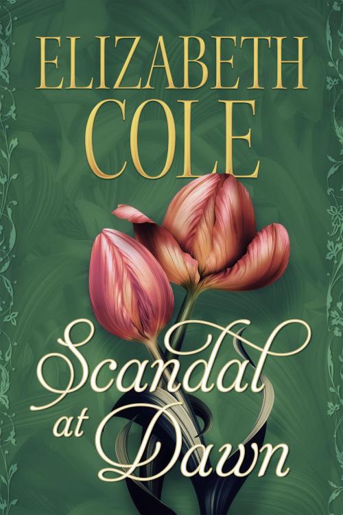 Cover of the book Scandal at Dawn by Elizabeth Cole, SkySpark Books