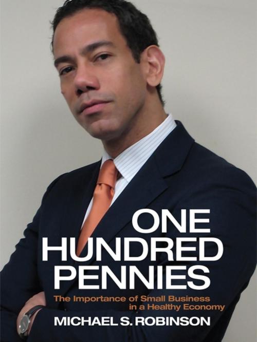 Cover of the book One Hundred Pennies by Michael S. Robinson, Microbin