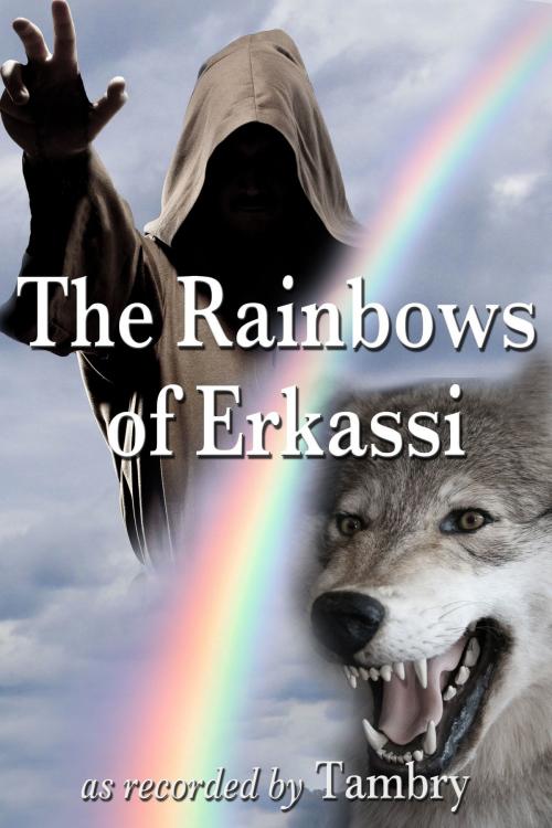 Cover of the book The Rainbows of Erkassi by Tambry, Tambry