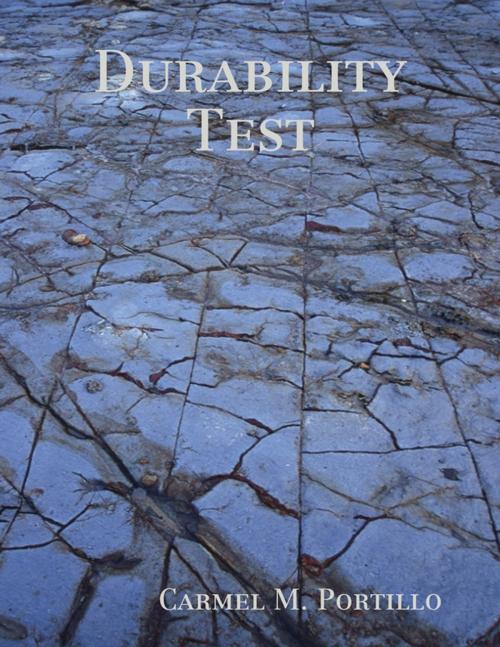 Cover of the book Durability Test by Carmel M. Portillo, Lulu.com